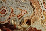Mexican Lace Agate