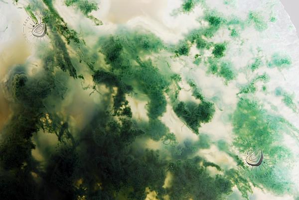 Moss Agate 5