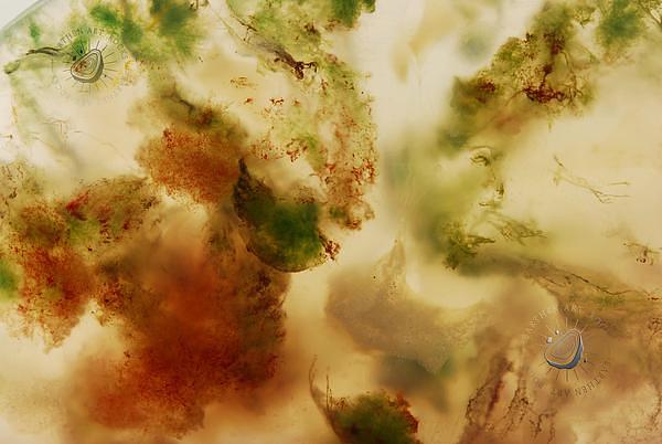Moss Agate 7