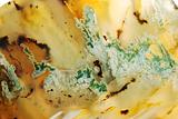 Moss Agate 6