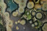 Ocean Jasper