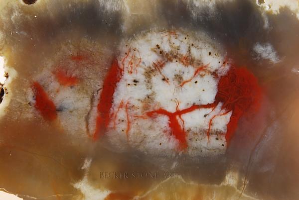 Agate 12
